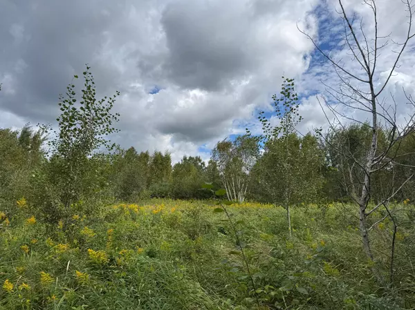 TBD State Hwy 23, Brook Park, MN 55007