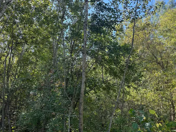 TBD 377th ST, Perham, MN 56573