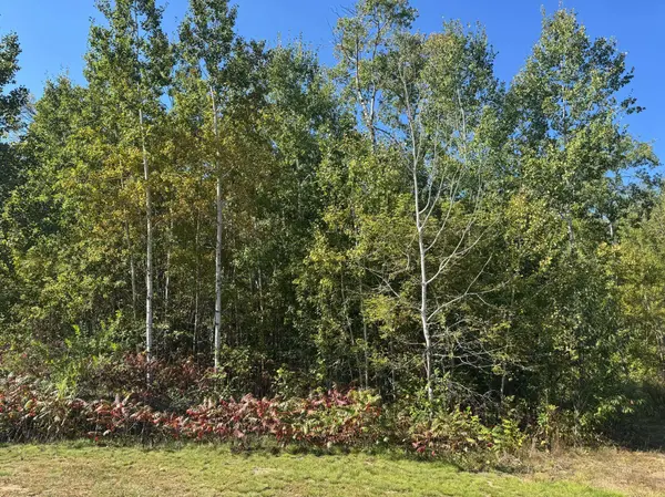 TBD 377th ST, Perham, MN 56573