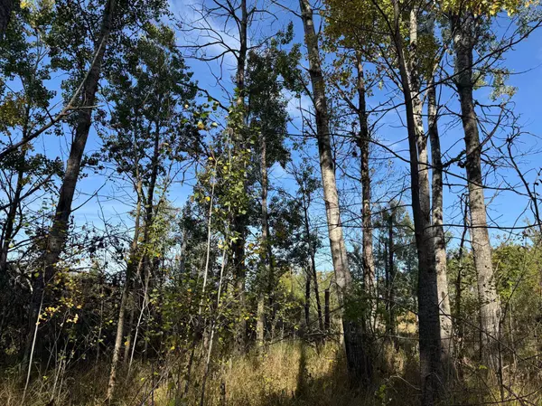 1xxx 460th LN, Palisade, MN 56469