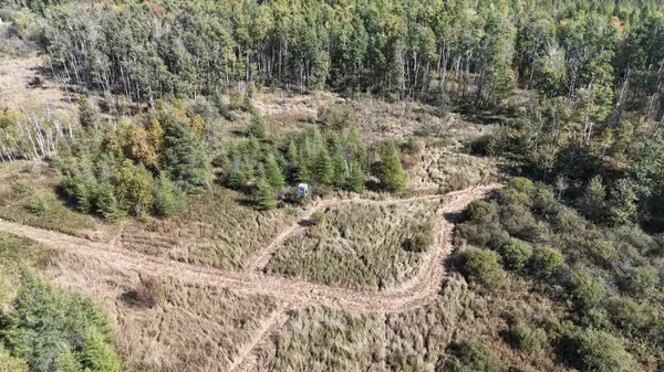 TBD 460th LN, Palisade, MN 56469