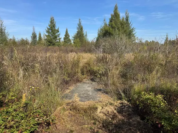 TBD 460th LN, Palisade, MN 56469