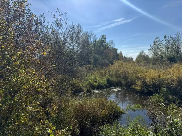 TBD 460th LN, Palisade, MN 56469