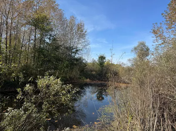 1xxx 460th LN, Palisade, MN 56469