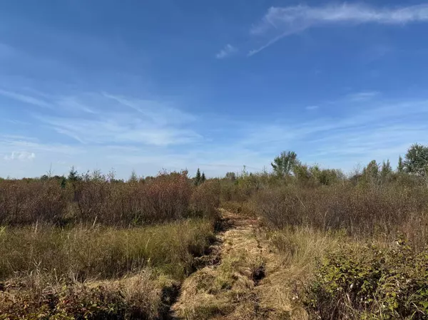 TBD 460th LN, Palisade, MN 56469