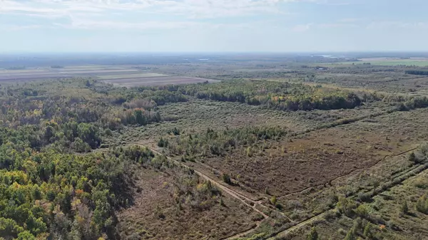 TBD 460th LN, Palisade, MN 56469