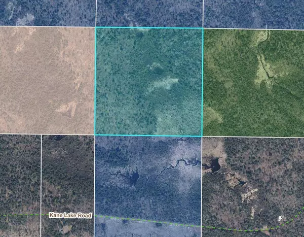 TBD Kane Lake RD, Silver Creek Twp, MN 55616