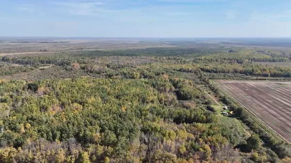 0000 460th LN, Palisade, MN 56469