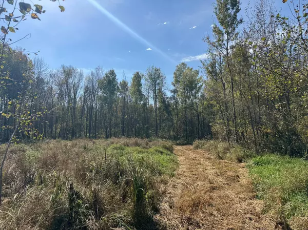 1xxx 460th LN, Palisade, MN 56469