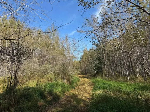 1xxx 460th LN, Palisade, MN 56469