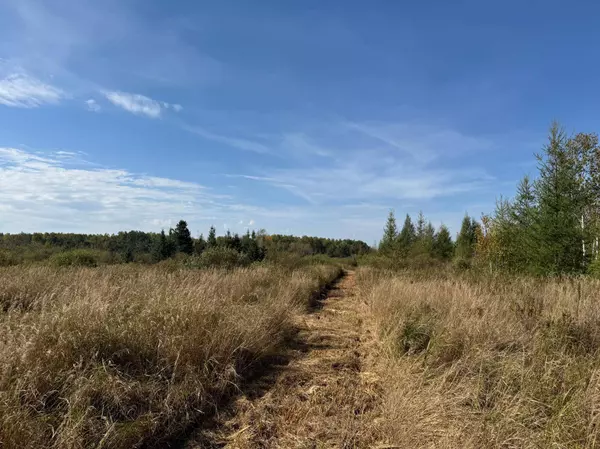 TBD 460th LN, Palisade, MN 56469