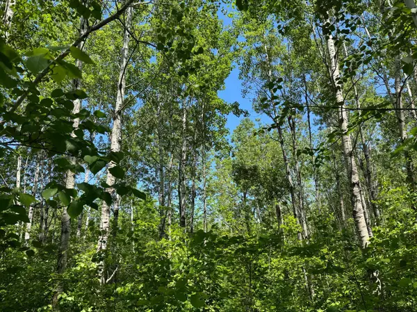 TBD Irondale RD, Superior, WI 54880