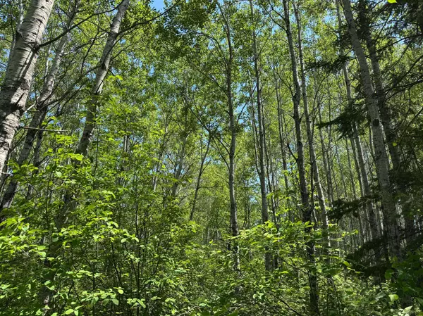 TBD Irondale RD, Superior, WI 54880