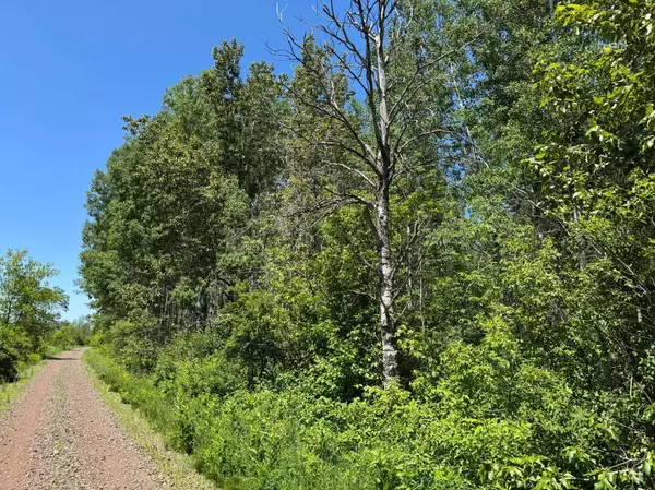 TBD Irondale RD, Superior, WI 54880