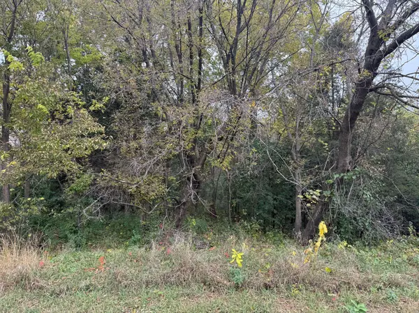 TBD 158th LN NW, Ramsey, MN 55303