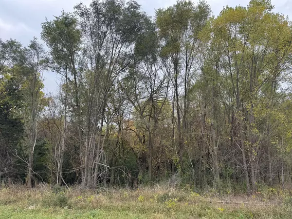 TBD 158th LN NW, Ramsey, MN 55303