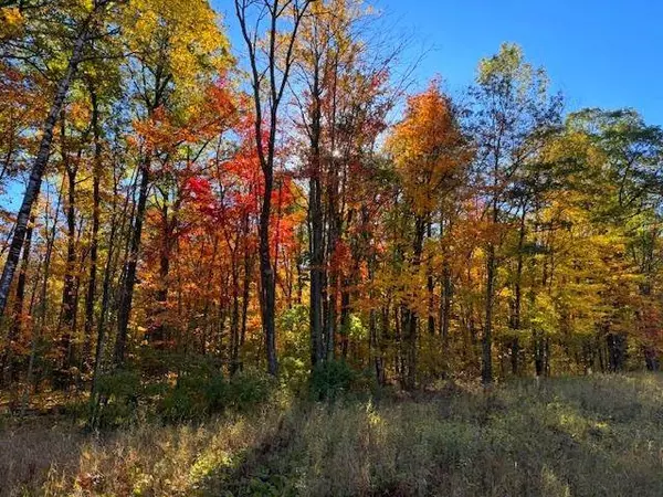 TBD Skyview ST, Brook Park, MN 55007