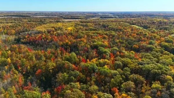 TBD Skyview ST, Brook Park, MN 55007