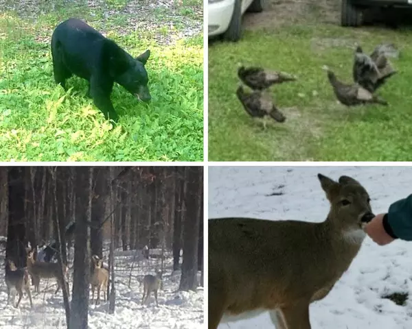 TBD Skyview ST, Brook Park, MN 55007