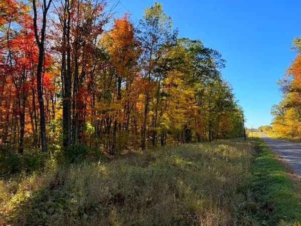 TBD Skyview ST, Brook Park, MN 55007