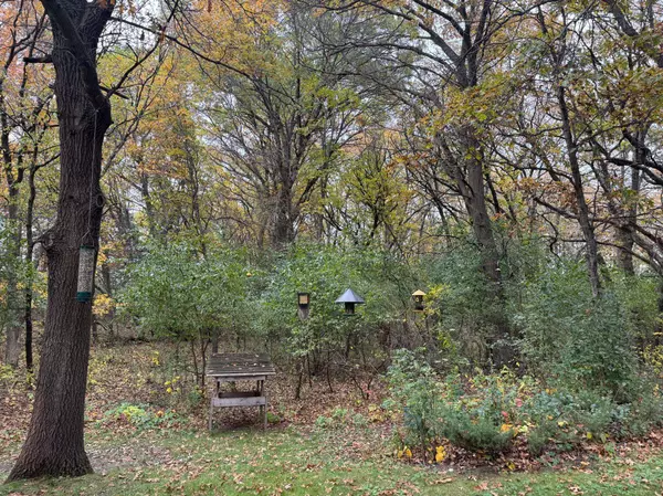 13882 254th AVE NW, Zimmerman, MN 55398