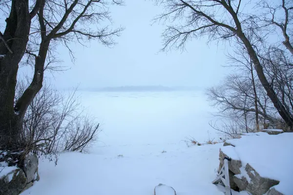 23441 735th AVE, Dassel, MN 55325