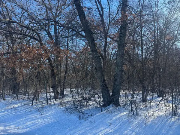 11xxx 313th AVE, Princeton, MN 55371