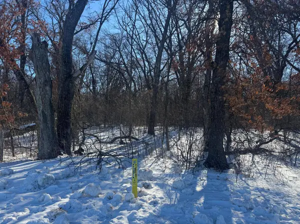 11xxx 313th AVE, Princeton, MN 55371