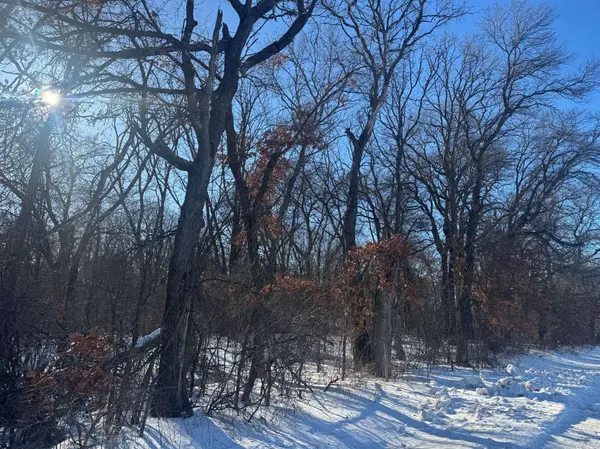 11xxx 313th AVE, Princeton, MN 55371