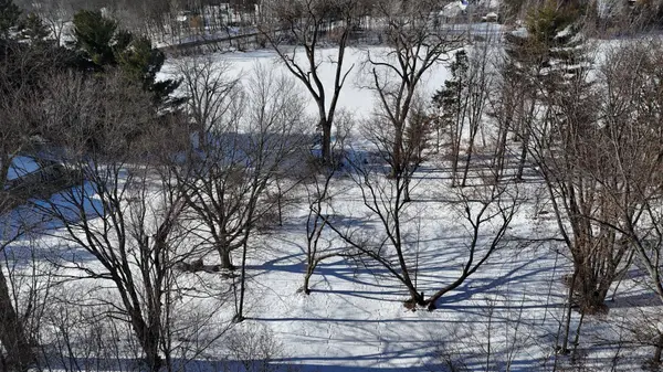 TBD 412th ST, North Branch, MN 55056