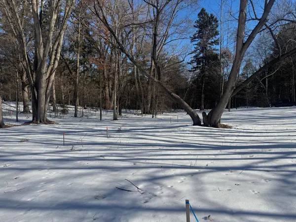 TBD 412th ST, North Branch, MN 55056