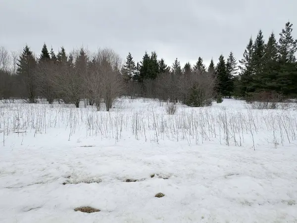 TBD County Road 31, Northome, MN 56661