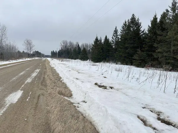 TBD County Road 31, Northome, MN 56661