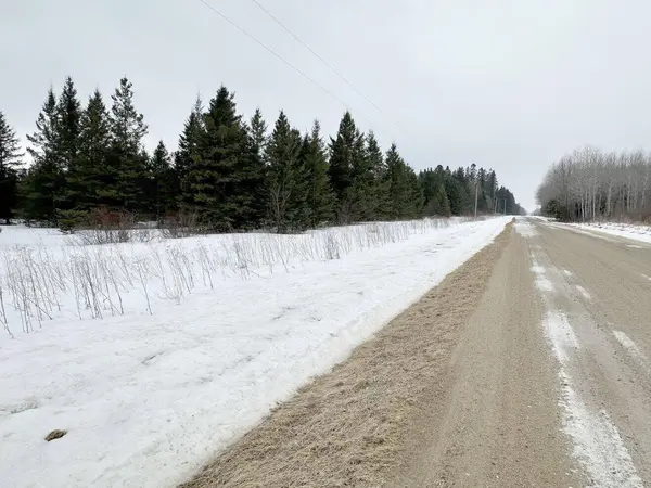 TBD County Road 31, Northome, MN 56661