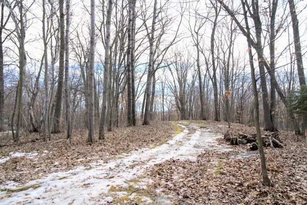 33456 Leisure DR, Cushing, MN 56443