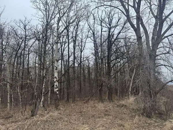 TBD 200th ST SE, Plummer, MN 56748