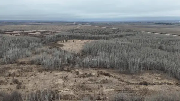 TBD 200th ST SE, Plummer, MN 56748