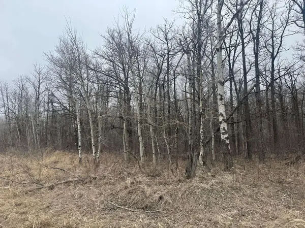 TBD 200th ST SE, Plummer, MN 56748