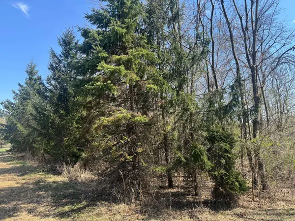 1206 Bunker Lake BLVD NE, Ham Lake, MN 55304