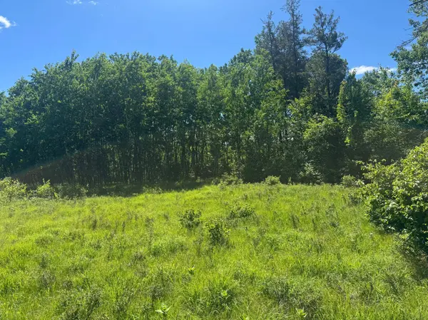15043 S Thorn Lake LOOP, Gordon, WI 54838