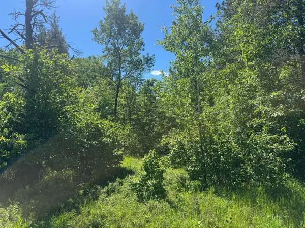 15043 S Thorn Lake LOOP, Gordon, WI 54838