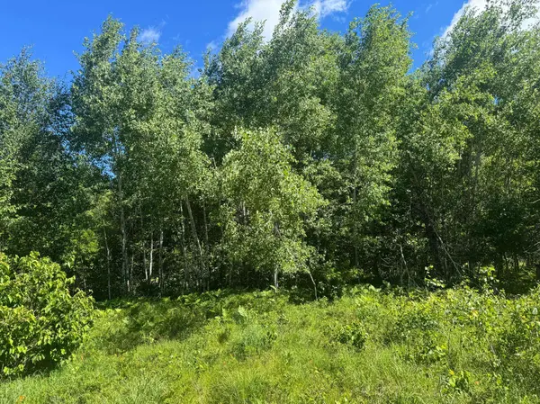 15043 S Thorn Lake LOOP, Gordon, WI 54838