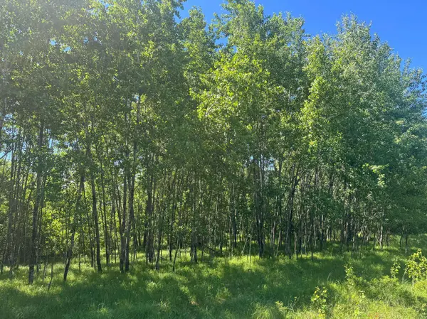 15043 S Thorn Lake LOOP, Gordon, WI 54838