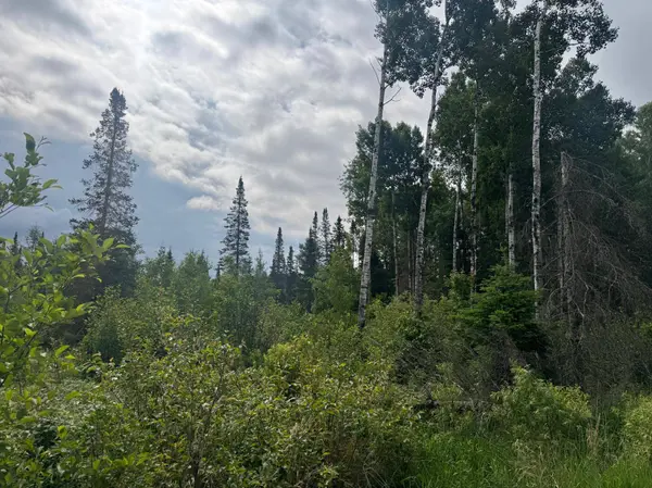 TBD Townline RD, Forbes, MN 55738