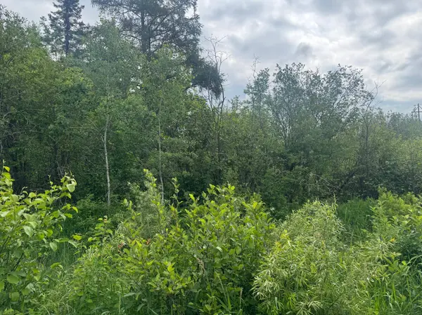 TBD Townline RD, Forbes, MN 55738