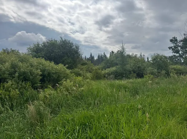 TBD Townline RD, Forbes, MN 55738