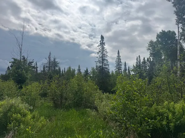 TBD Townline RD, Forbes, MN 55738