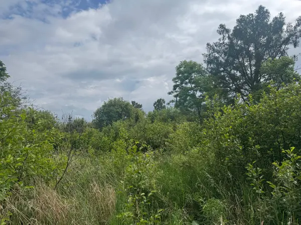 TBD Townline RD, Forbes, MN 55738