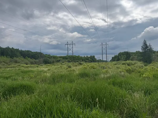 TBD Townline RD, Forbes, MN 55738