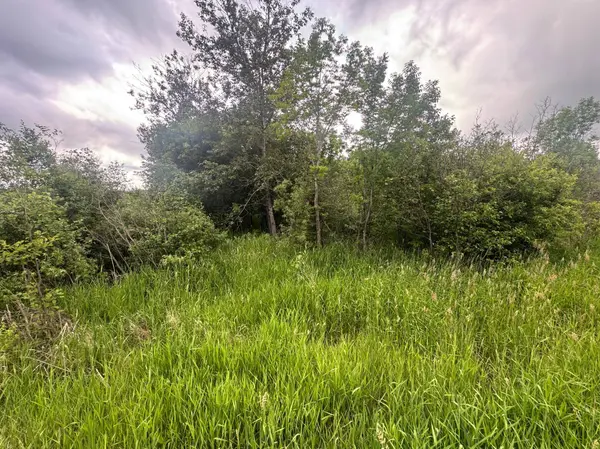 8xxx Townline RD, Forbes, MN 55738